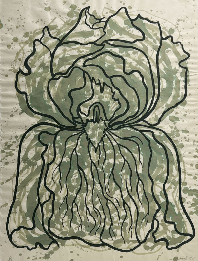 Title Lowell Nesbitt - Untitled (Iris Outline) / Artist