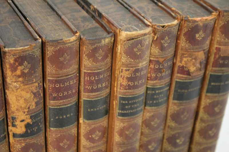 Image 4 of lot 11 Volumes Holme&apos;s Works