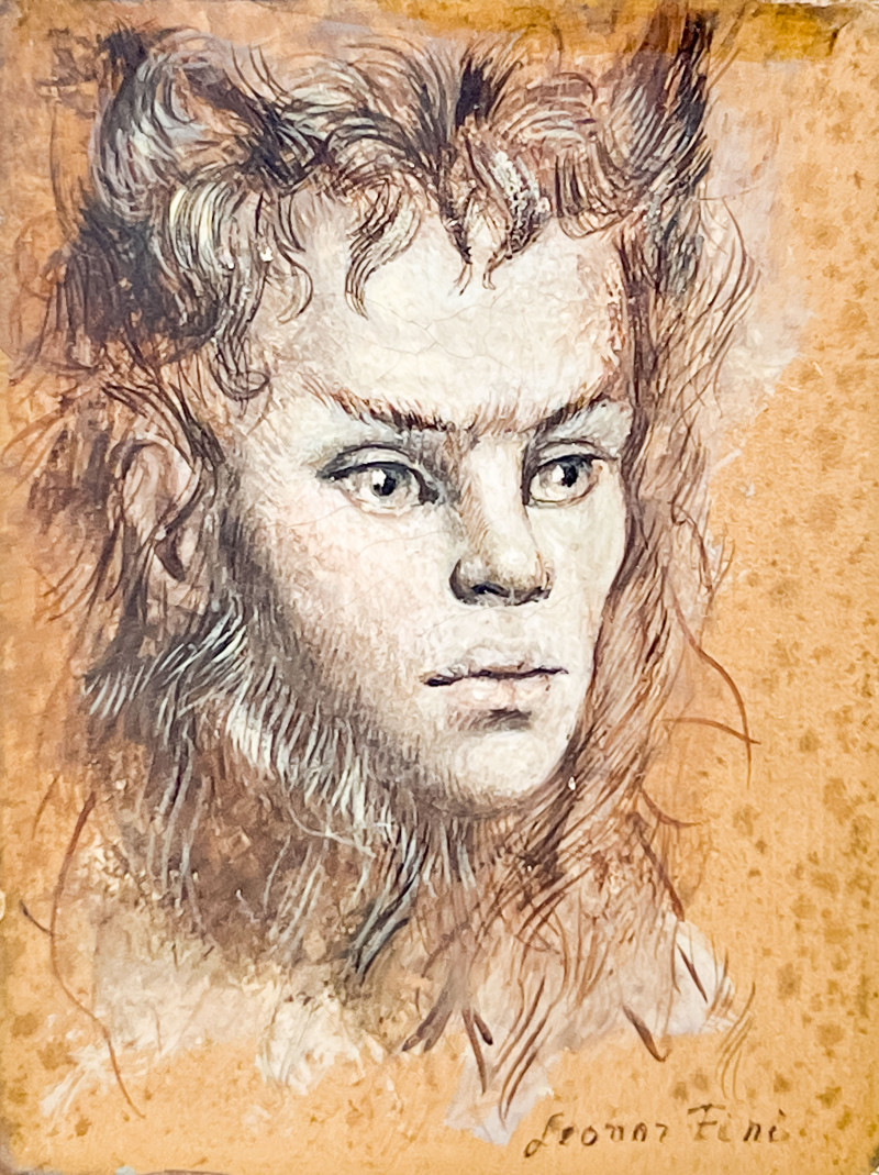 Leonor Fini  - Untitled (Portrait of a Wild-Haired Youth)