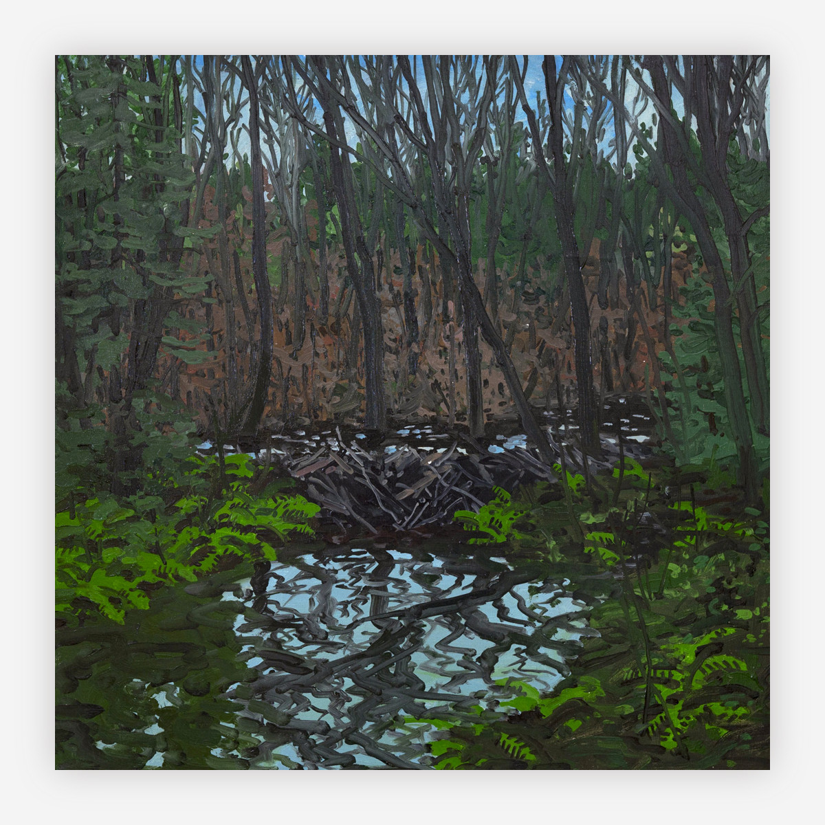Untitled (beaver pond)