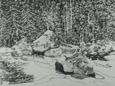 Image for Lot Neil Welliver - Cedar Water Pool