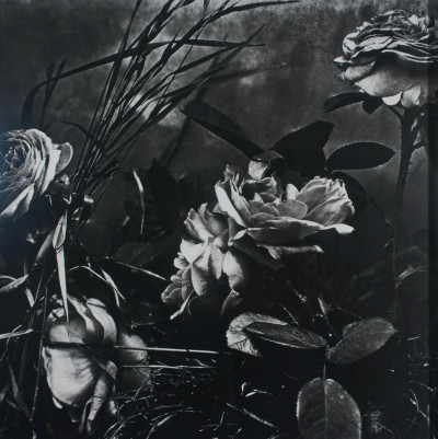 Title Marie-Jo La Fontaine - Floral Still Life / Artist