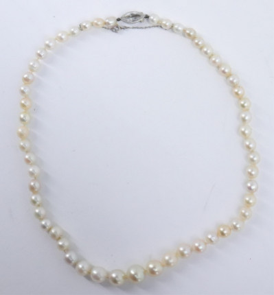 Image for Lot Natural Pearl Necklace