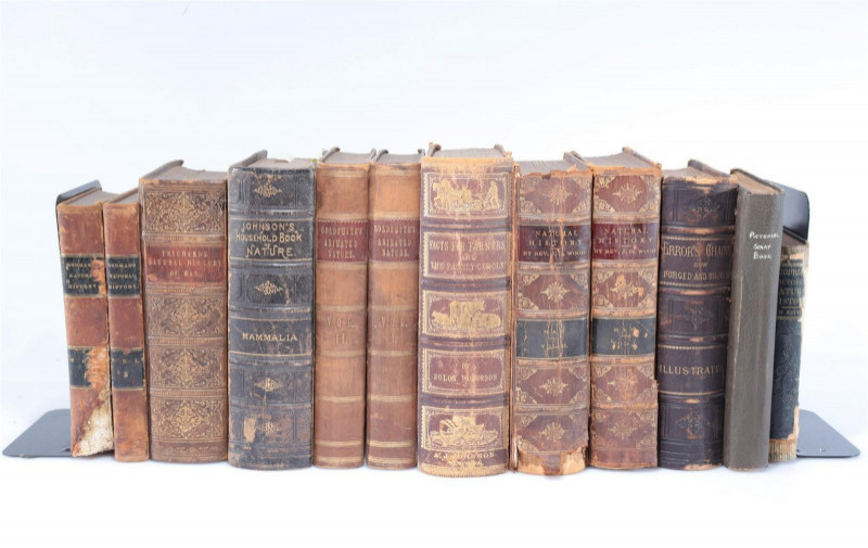 Image 1 of lot 19th C. Leather Book Lot