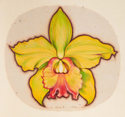 Image for Lot Lowell Nesbitt - Green Orchid