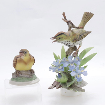 Image for Lot Dorothy Doughty & Boehm Porcelain Bird Groups