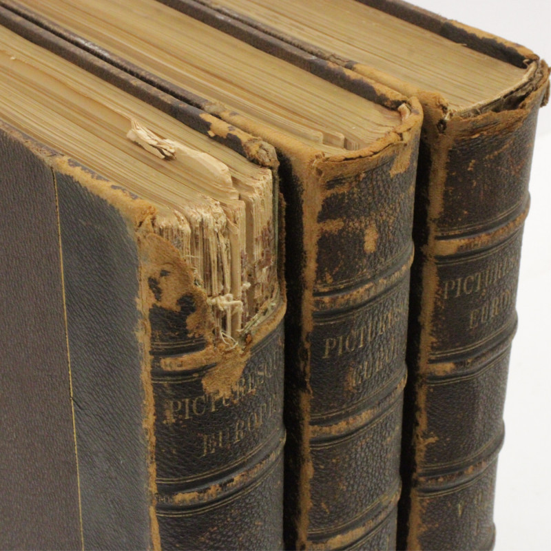 Image 2 of lot 3 Volumes Picturesque Europe