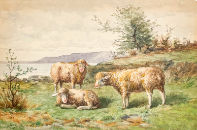 Title Arthur Fitzwilliam Tait - Orange County (3 sheep) / Artist