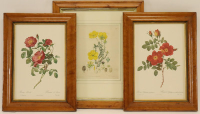 Image for Lot 2 Redoute Botanicals, 1 L Watts