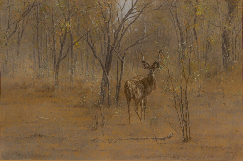 Image 2 of lot Kim Donaldson – Young Kudu Bull