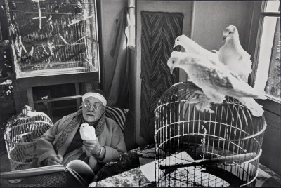 Henri Cartier Bresson - Henri Matisse in his home, Vence, France