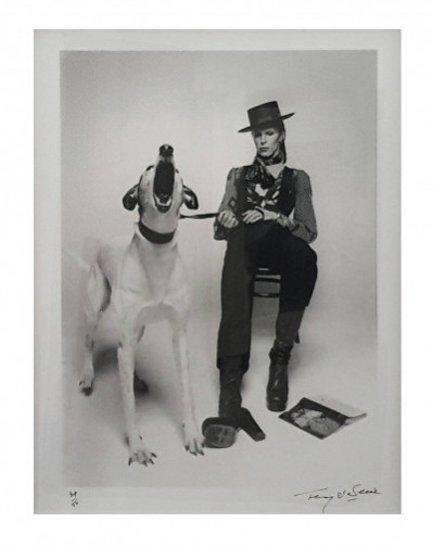 Terry O'Neill  David Bowie Diamond Dogs