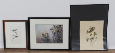 Image for Lot Bird Prints:Gold Finch Wood Thrush Swamp Warbler