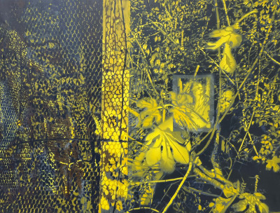 Title Unknown Artist - Flowers and Fence / Artist