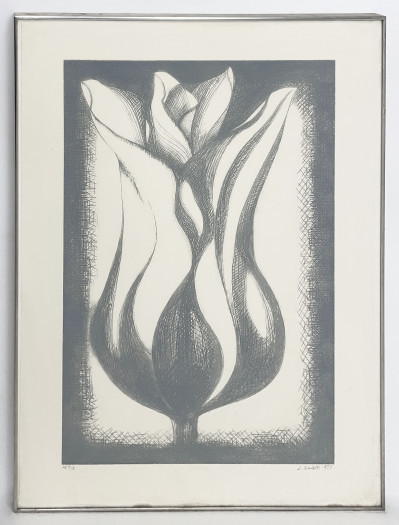 Lowell Nesbitt - Untitled (Tulip)