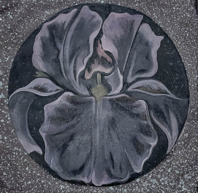 Title Lowell Nesbitt - Shadow Iris / Artist
