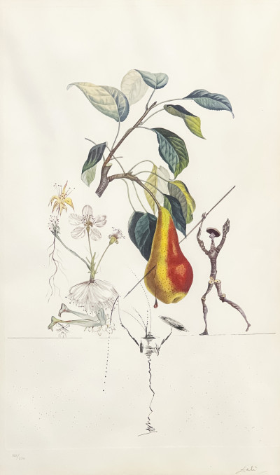 Image for Lot Salvador Dali - Poire Don Quixote (from FlorDali/Les Fruits)