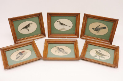 Image for Lot 6 Framed prints of Birds, color plates