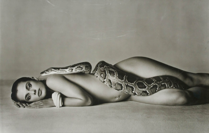 Richard Avedon - Nastassja Kinski and the Serpent (Damaged)