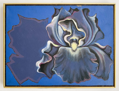Lowell Nesbitt - An Iris and its Shadow