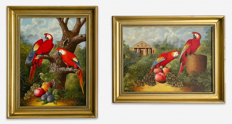 Unknown Artist - Scarlet Macaw (2 Works)