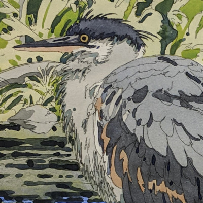 Title Neil Welliver - Immature Great Blue Heron / Artist