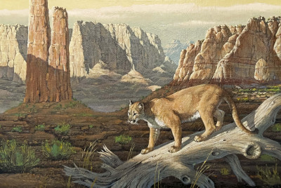 Title Marcel Bordei - Untitled (Mountain Lion) / Artist