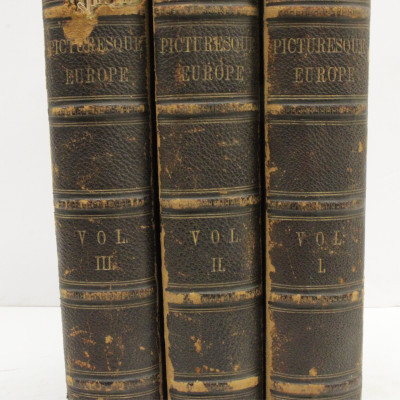 Image 3 of lot 3 Volumes Picturesque Europe