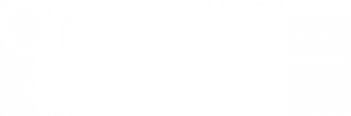 Capsule Estate Logo