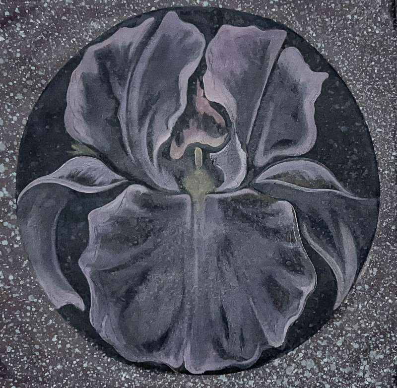 Lowell Nesbitt - Shadow Iris