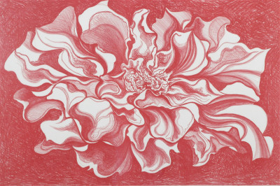 Title Lowell Nesbitt - Red Iris / Artist