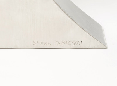 Seena Donneson - Untitled