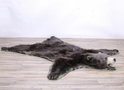 Image for Lot Grizzly Bear Taxidermy Rug - Brown